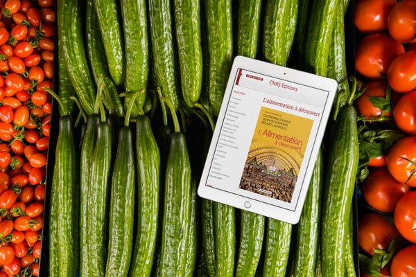liseuse numérique posée sur des légumes