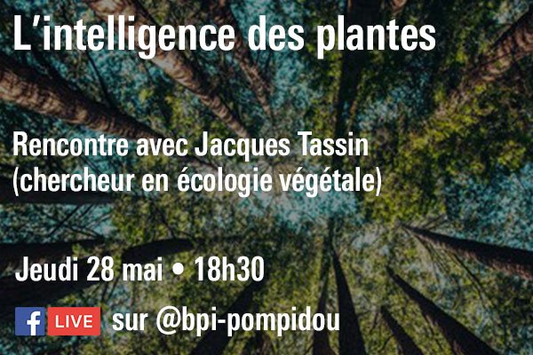Conférence sur l'intelligence des plantes en ligne sur Facebook