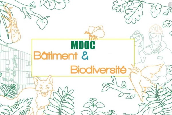 illustration du mooc bâtiment et biodiversité