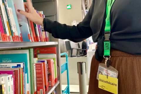 bibliothécaire dans les rayons de la Bpi