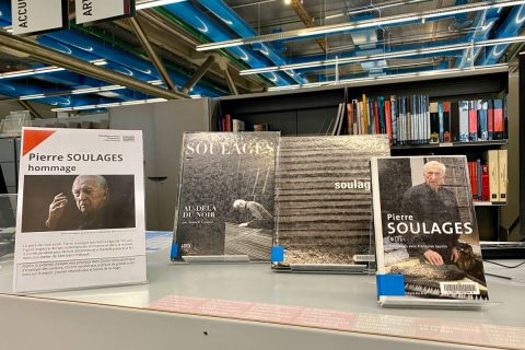 ouvrages sur un bureau d'accueil de la bibliothèque