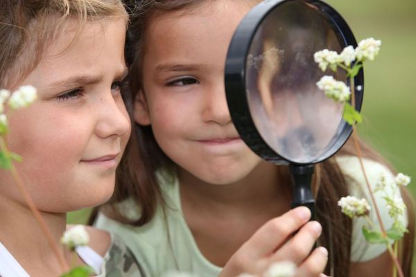 petites filles entourées de fleurs regaradant à travers une loupe