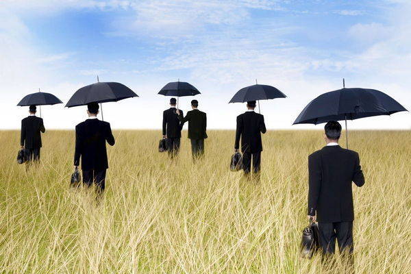 groupe de businessmen dans un champ avec des parapluies..