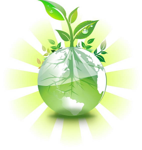 image/ dessin d'une plante verte plantée dans la terre