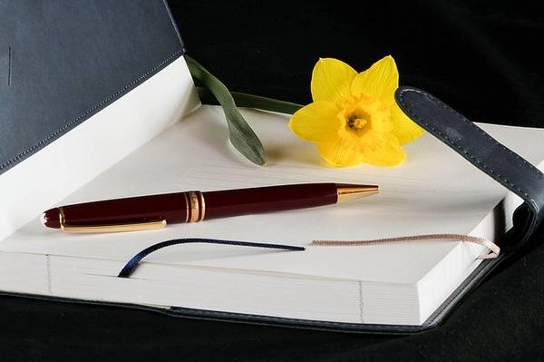 photo d'un carnet ouvert avec fleur et stylo