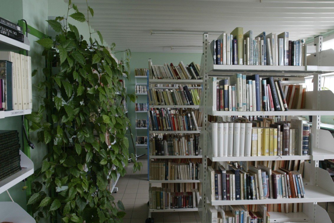 photo d'une bibliothèque de prison