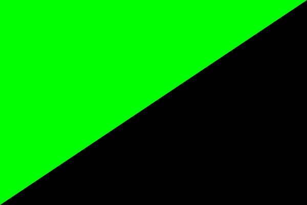 Drapeau noir et vert de l'anarcho-primitivisme