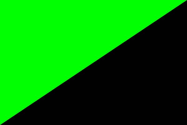 Drapeau noir et vert de l'anarcho-primitivisme