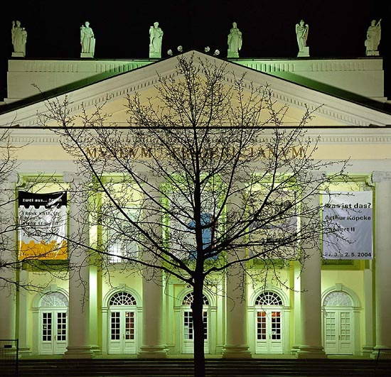 Chêne à Kassel planté par Joseph Beuys