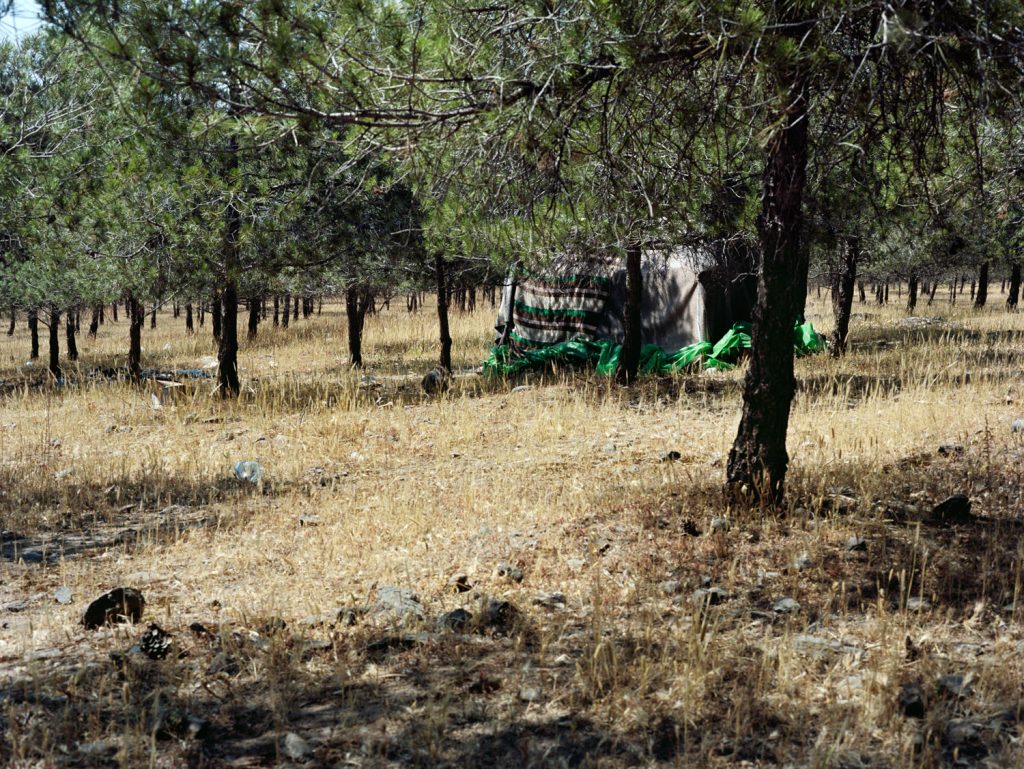 Campement dans la région d'Oujda