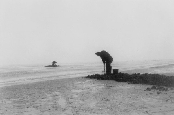 Pêcheurs à pied sur une plage