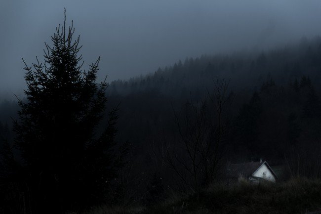 Dans une pénombre brumeuse de montagne, l’ombre d’un sapin se détache au premier plan. Sur la droite, une petite maison est en partie dissimulée par un talus. Au fond de l’image, la montagne est recouverte d’une forêt dense de sapins.