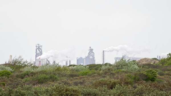 Des plantes poussent sur un terrain vague, devant une usine crachant ses fumées