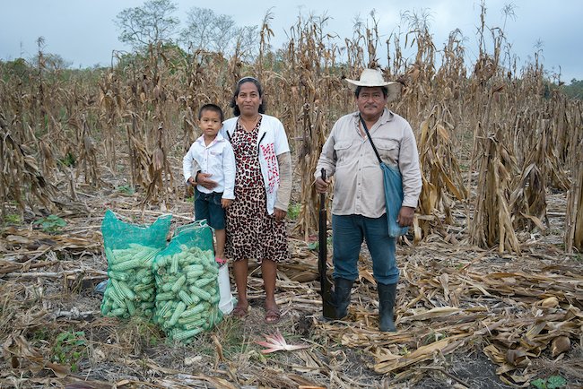 Famille dans la milpa, père avec fusil